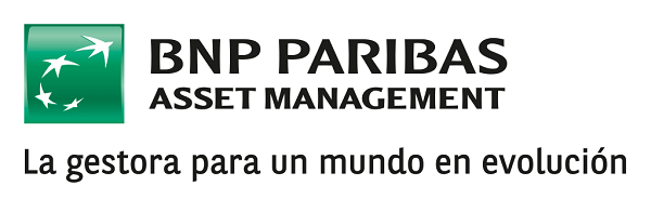 BNP Paribas - Investment Partners